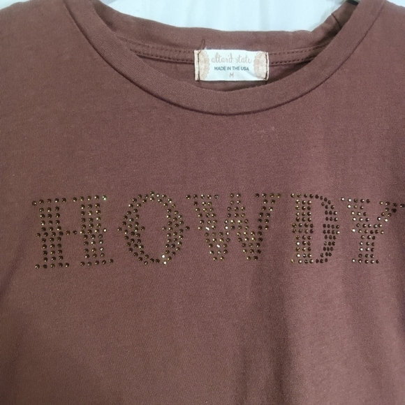 ALTAR'D State Howdy Embellished Top Shirt Brown Crop Boxy Made in USA Size M - Picture 3 of 6
